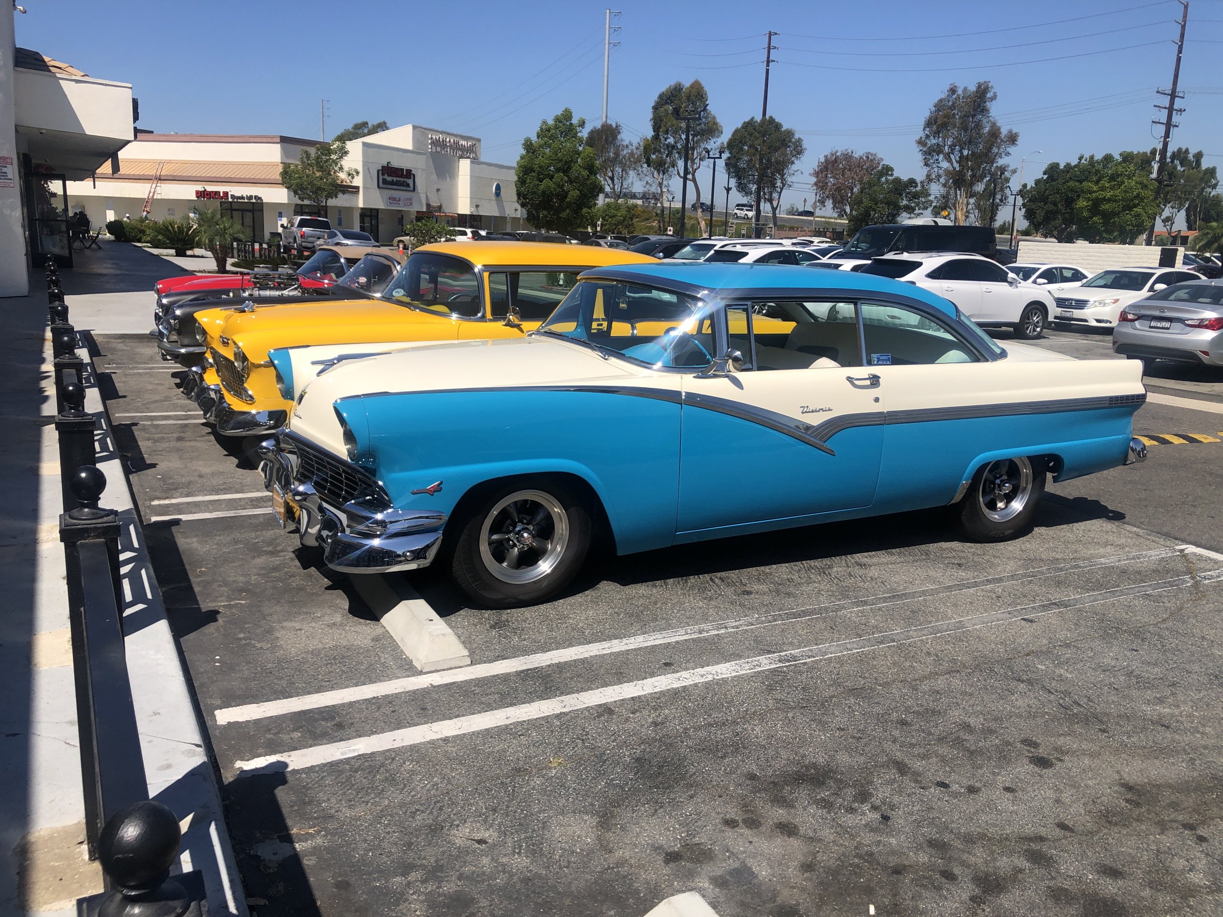 IMG_7118.jpeg