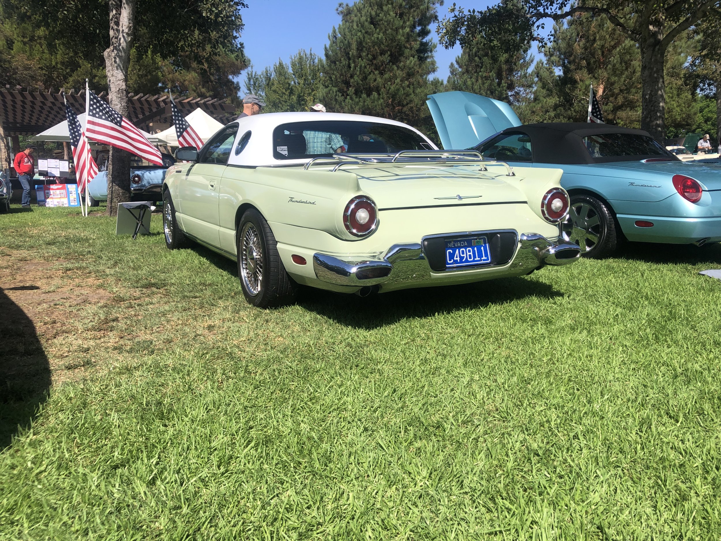 IMG_7157.jpeg