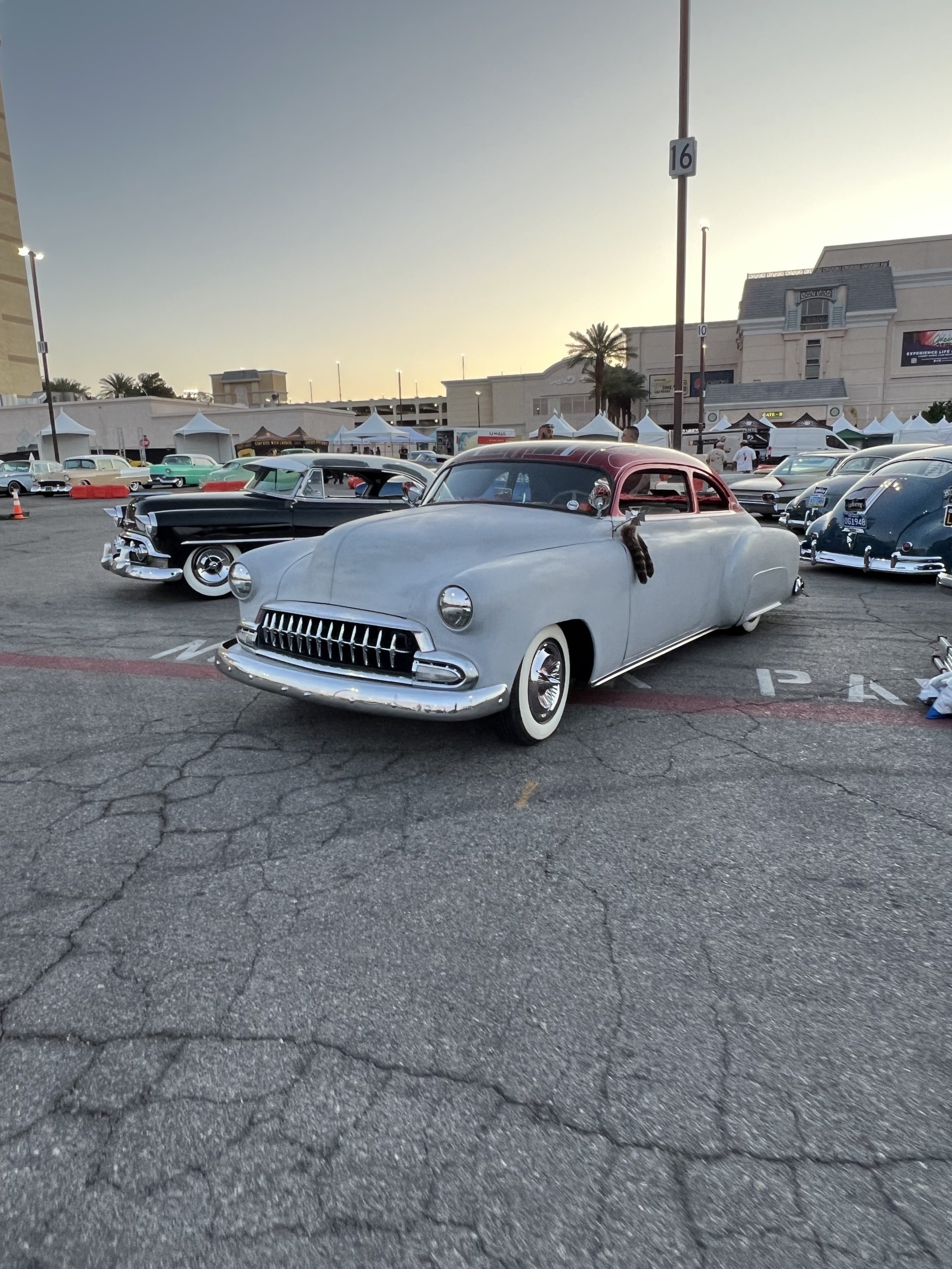 IMG_8759.jpeg
