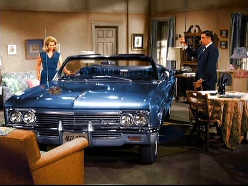 impala1.jpg