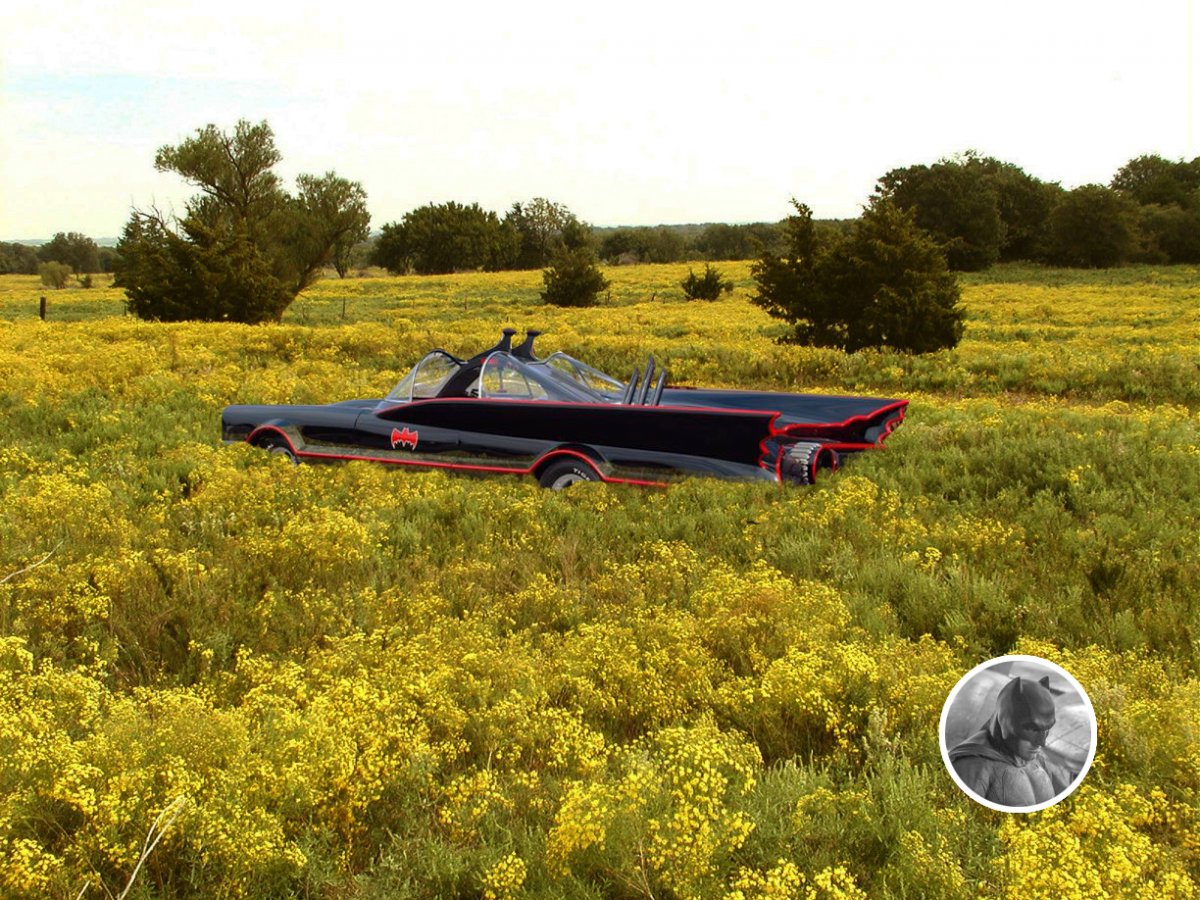 in da weeds copy.jpg