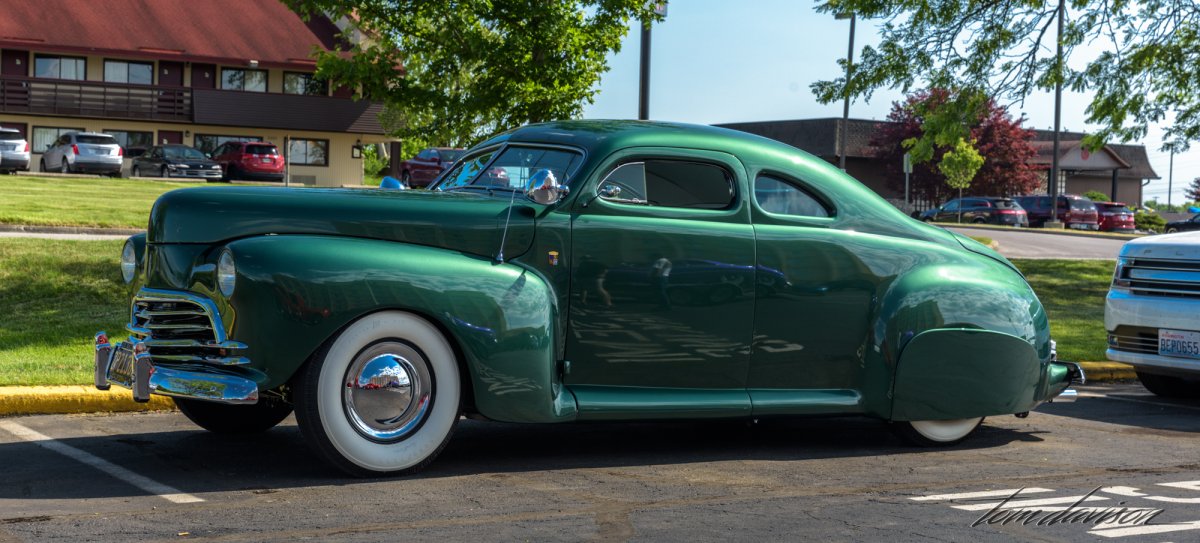 Indy (1 of 1)-11.jpg