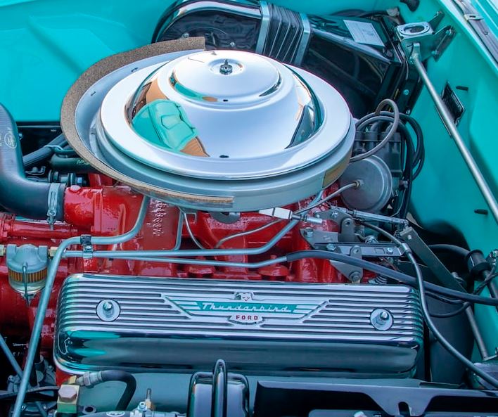 int 55 ford std.JPG