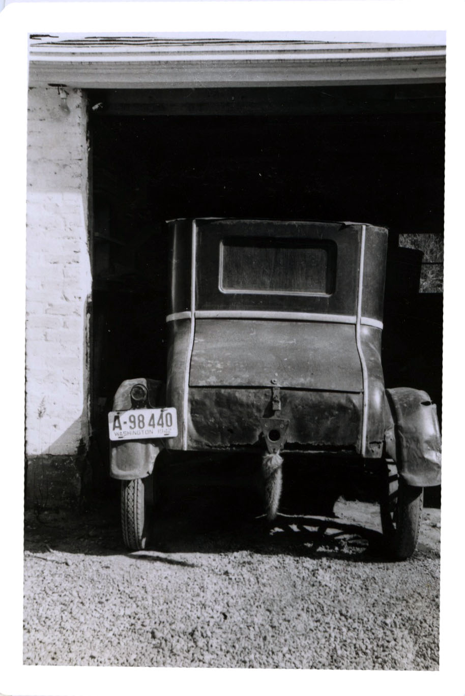 jalopy 3.jpg