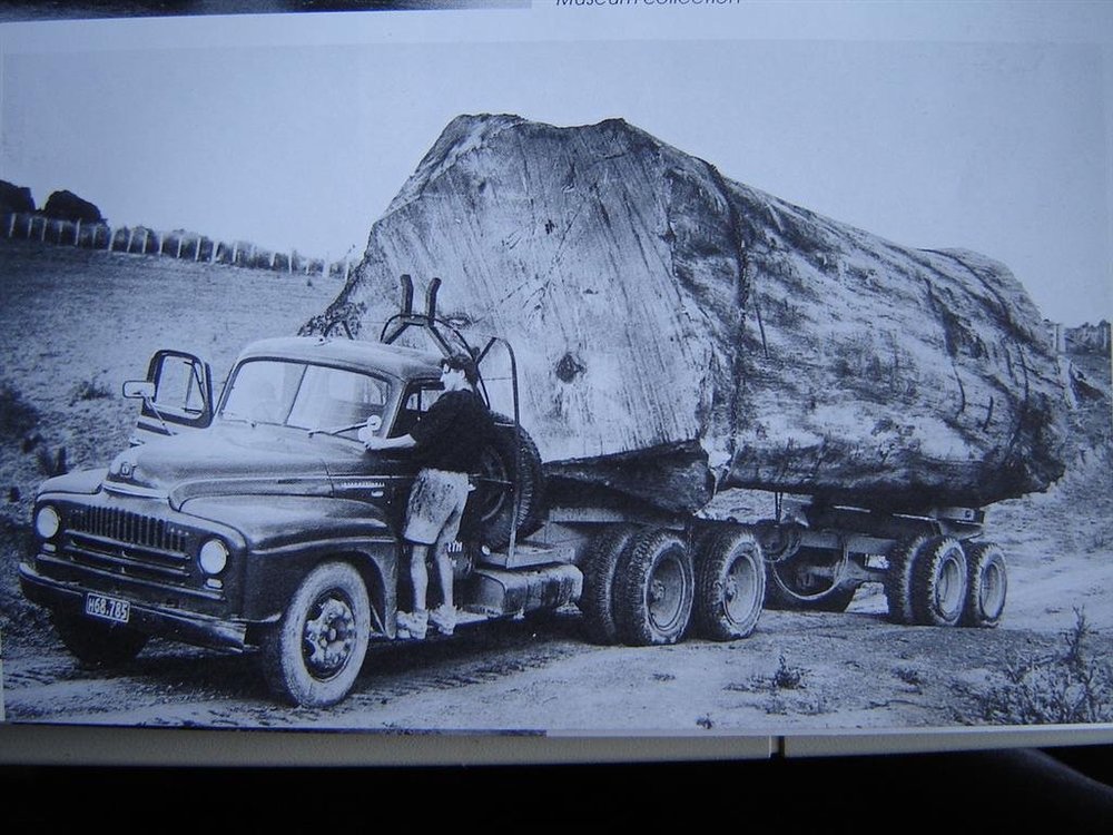 kiwi truck.jpg