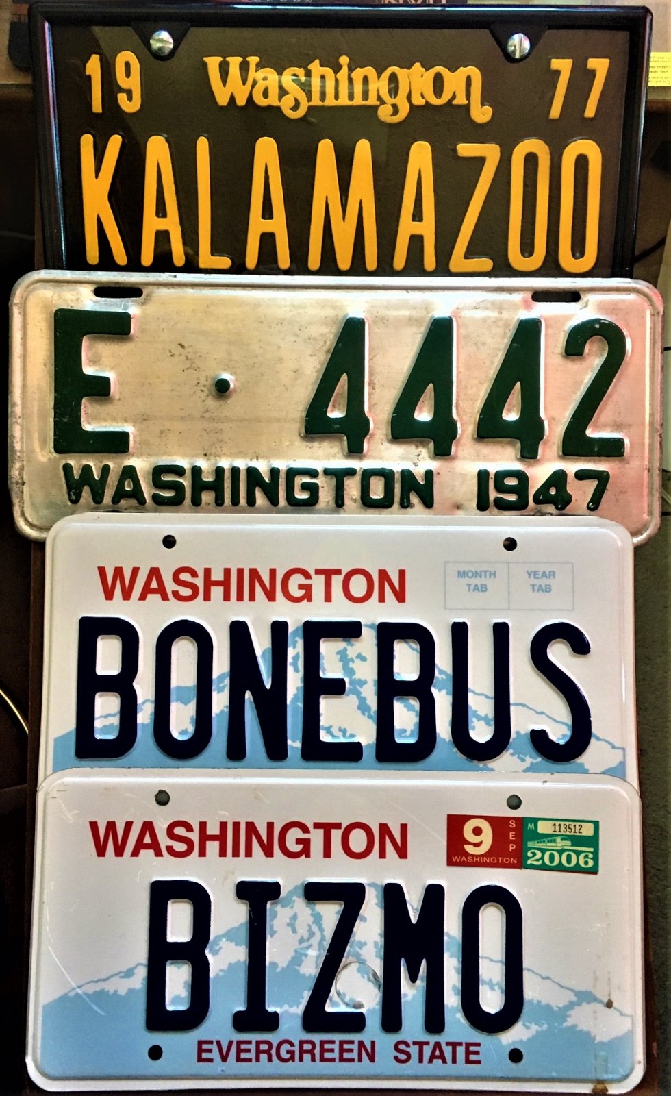 license plates (2).JPG