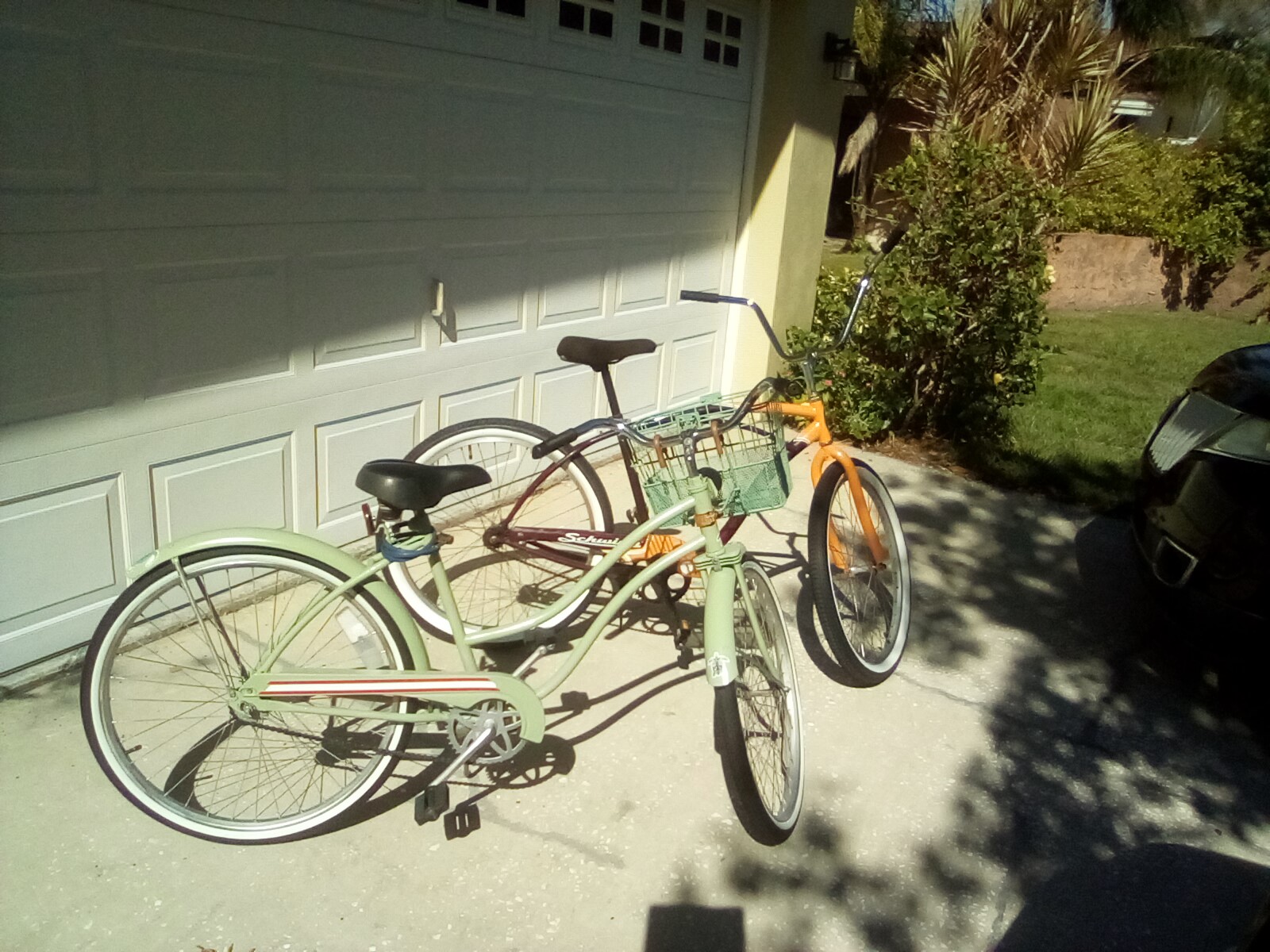 Lil and my bicycles done.jpg