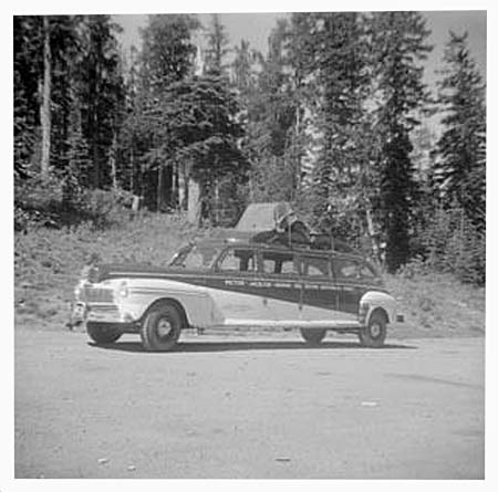 limo.jpg