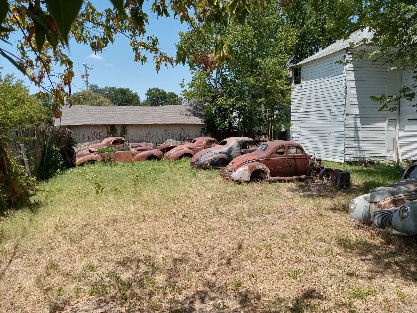 Lincoln back yard.jpg
