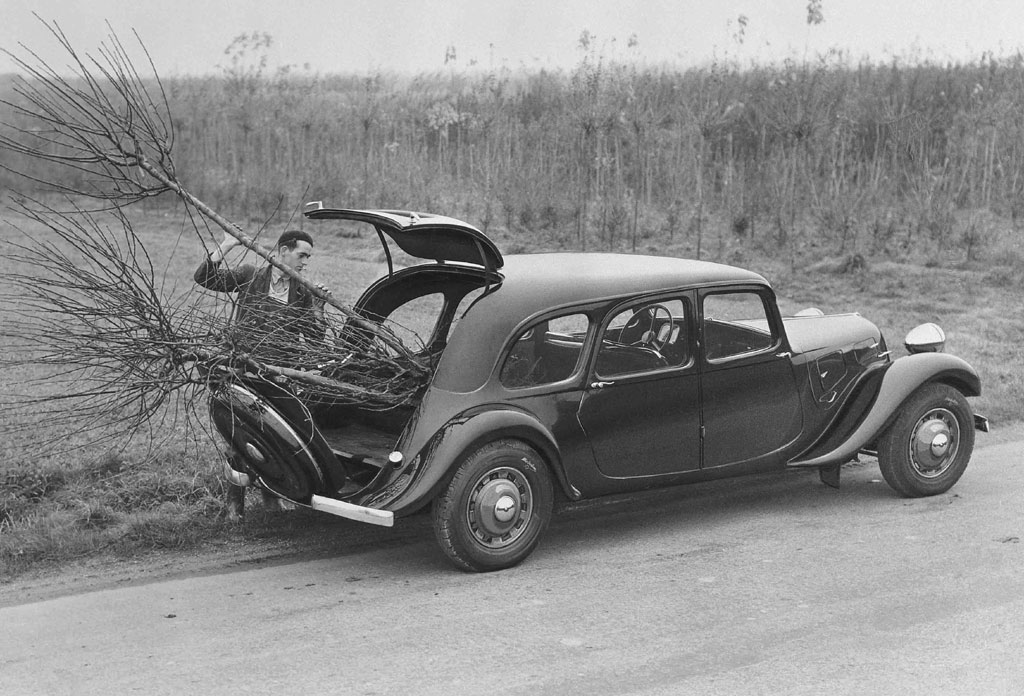 Loading-tree-into-Traction-Familiale.jpg