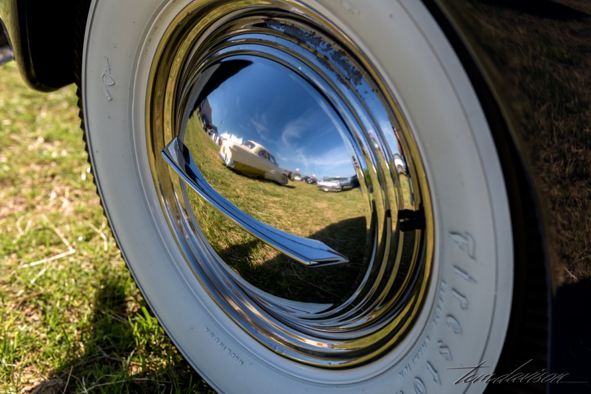 Lonestar (1 of 1)-11.jpg