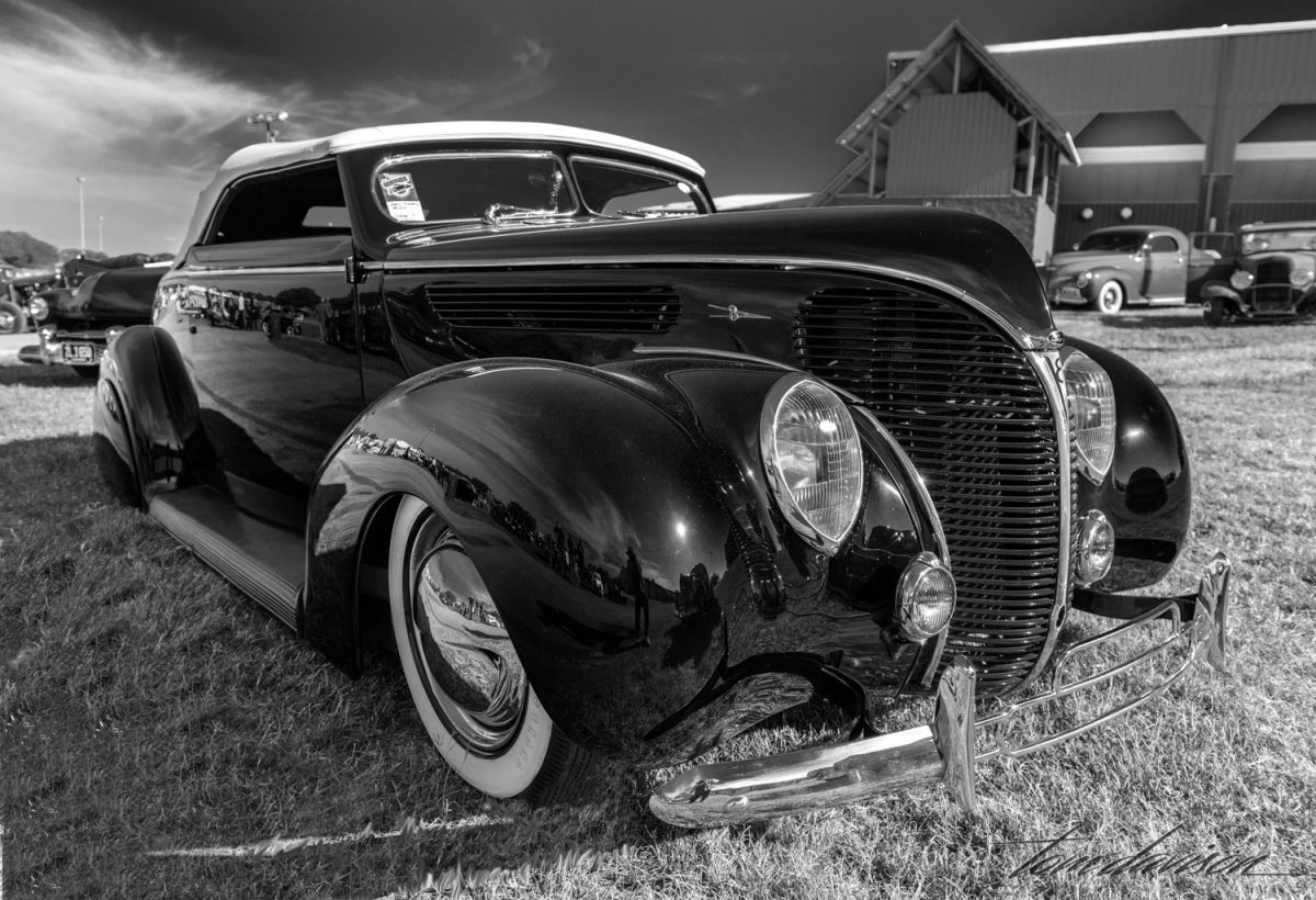 Lonestar (1 of 1)-16.jpg