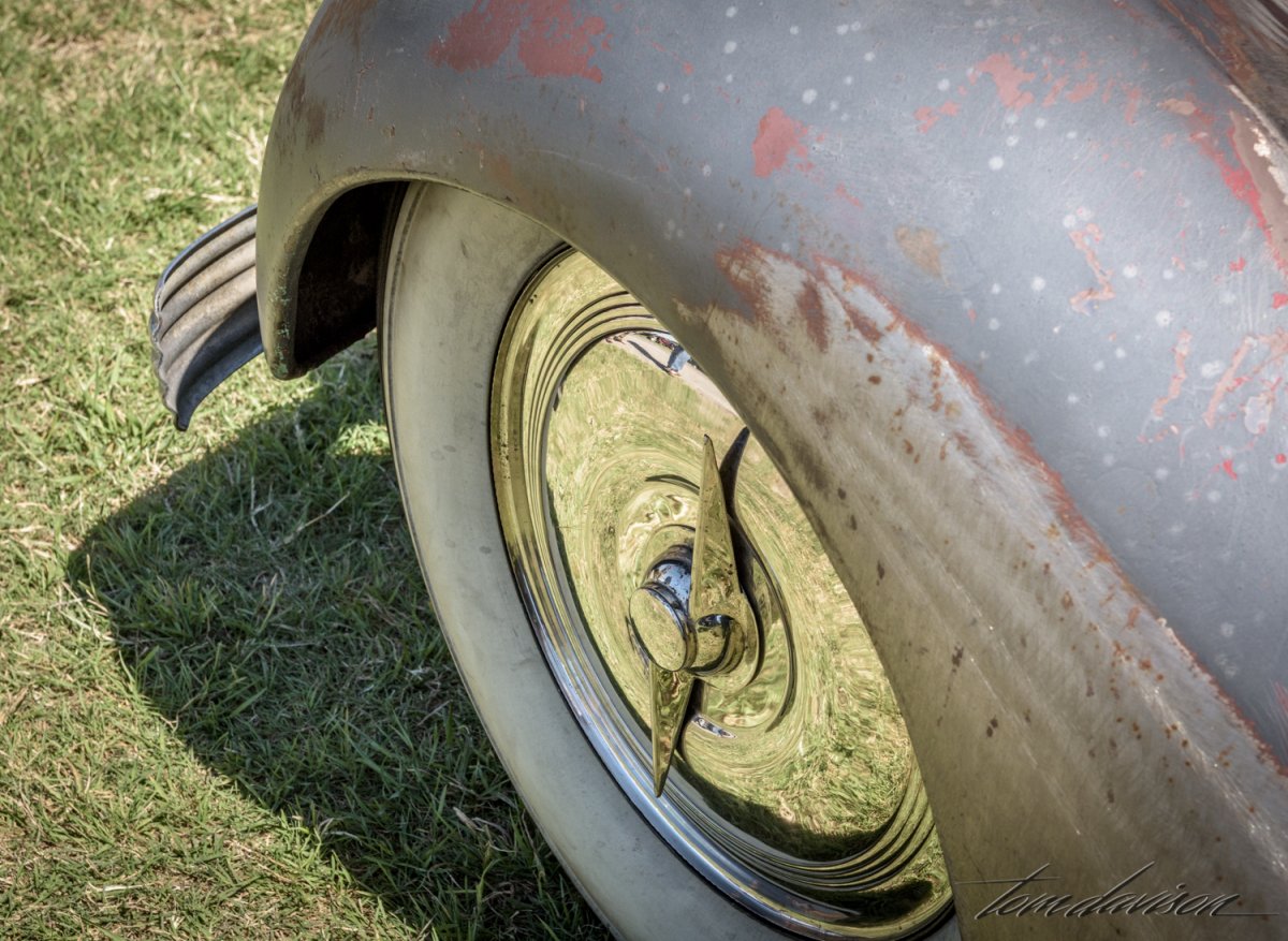 Lonestar (1 of 1)-20.jpg