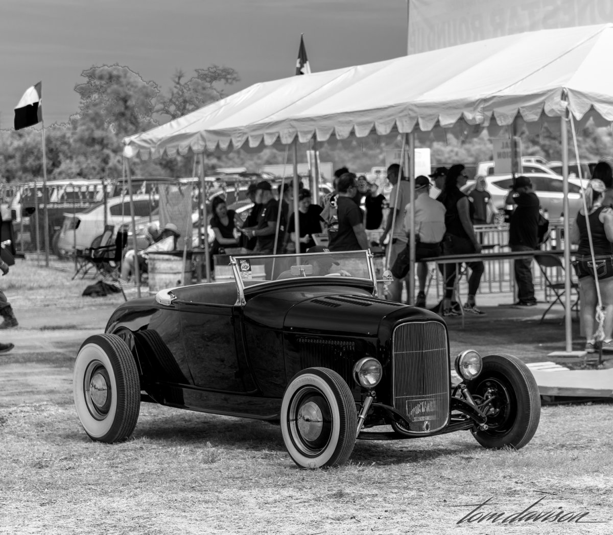 Lonestar (1 of 3).jpg