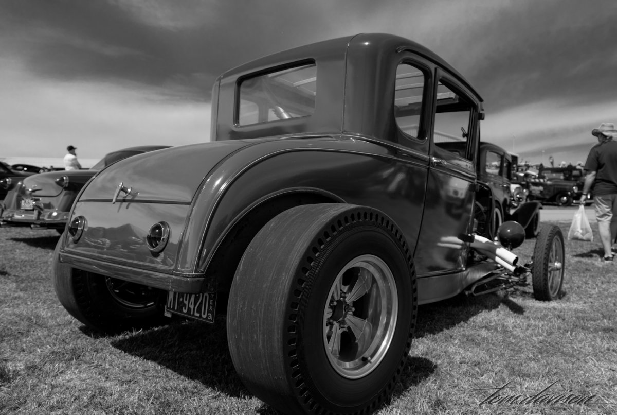 Lonestar (1 of 4).jpg