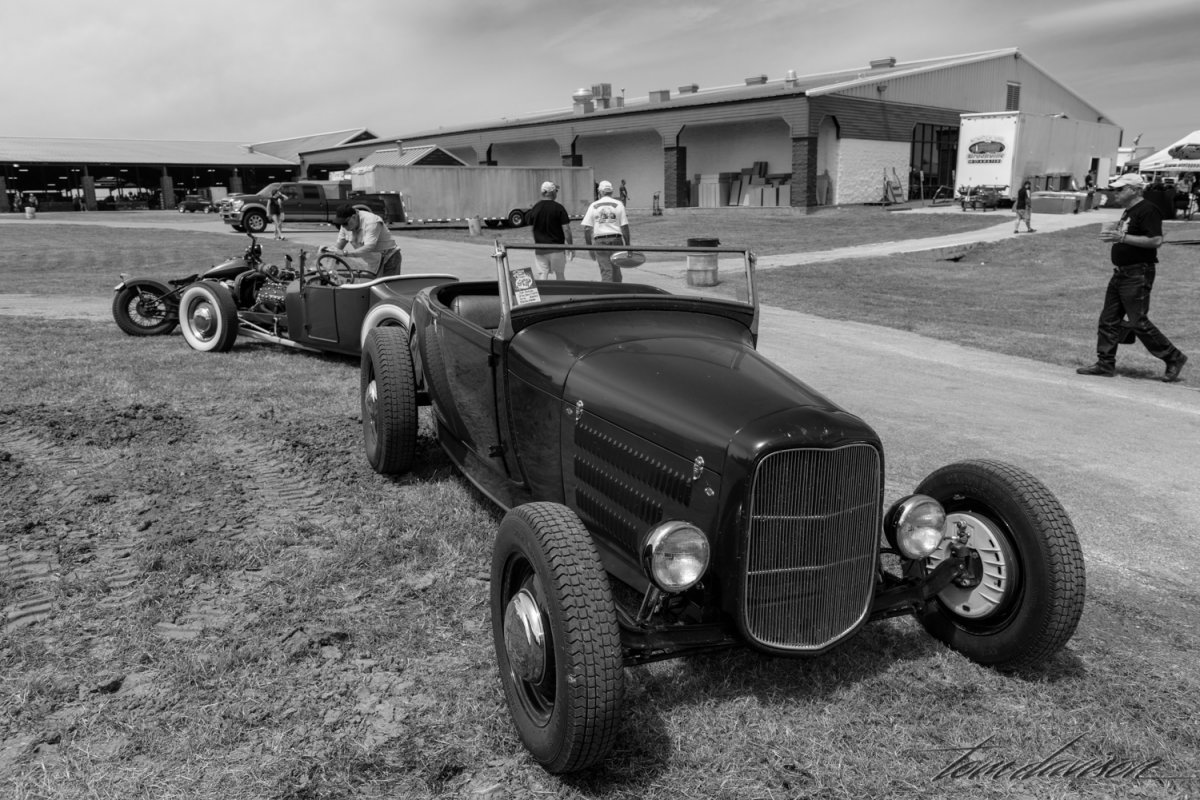 Lonestar (1 of 4).jpg