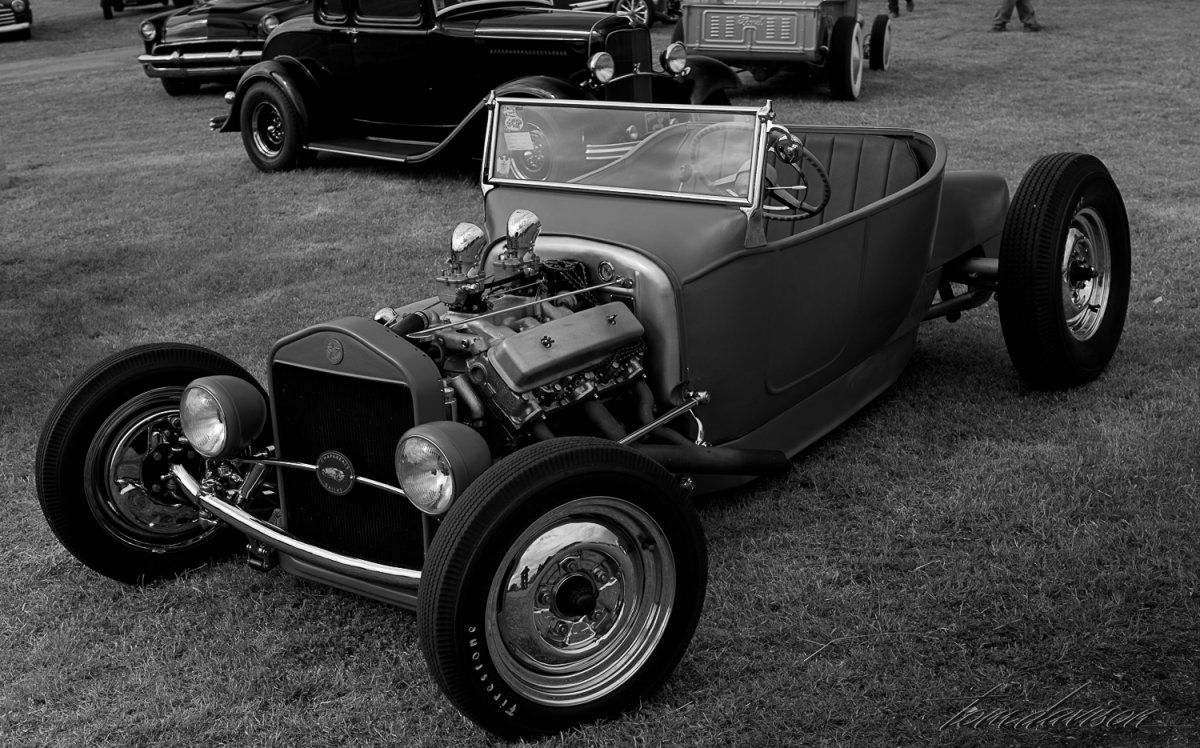 Lonestar 2 (1 of 3).jpg