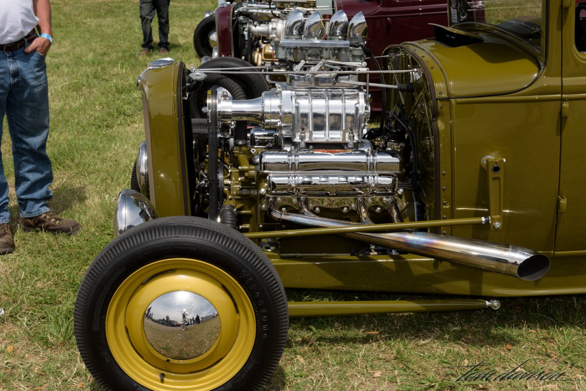 Lonestar 2 (2 of 4).jpg