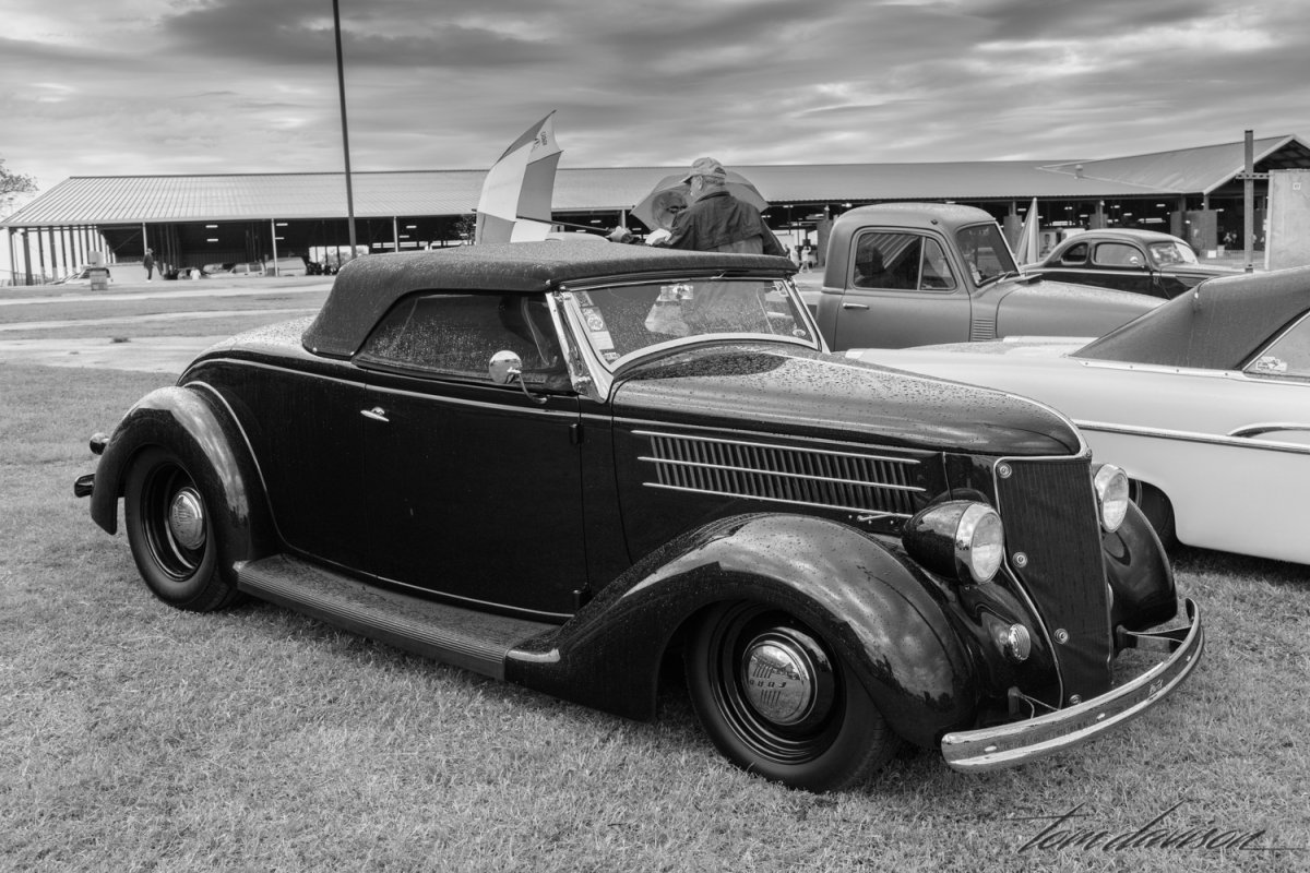 Lonestar (2 of 3).jpg