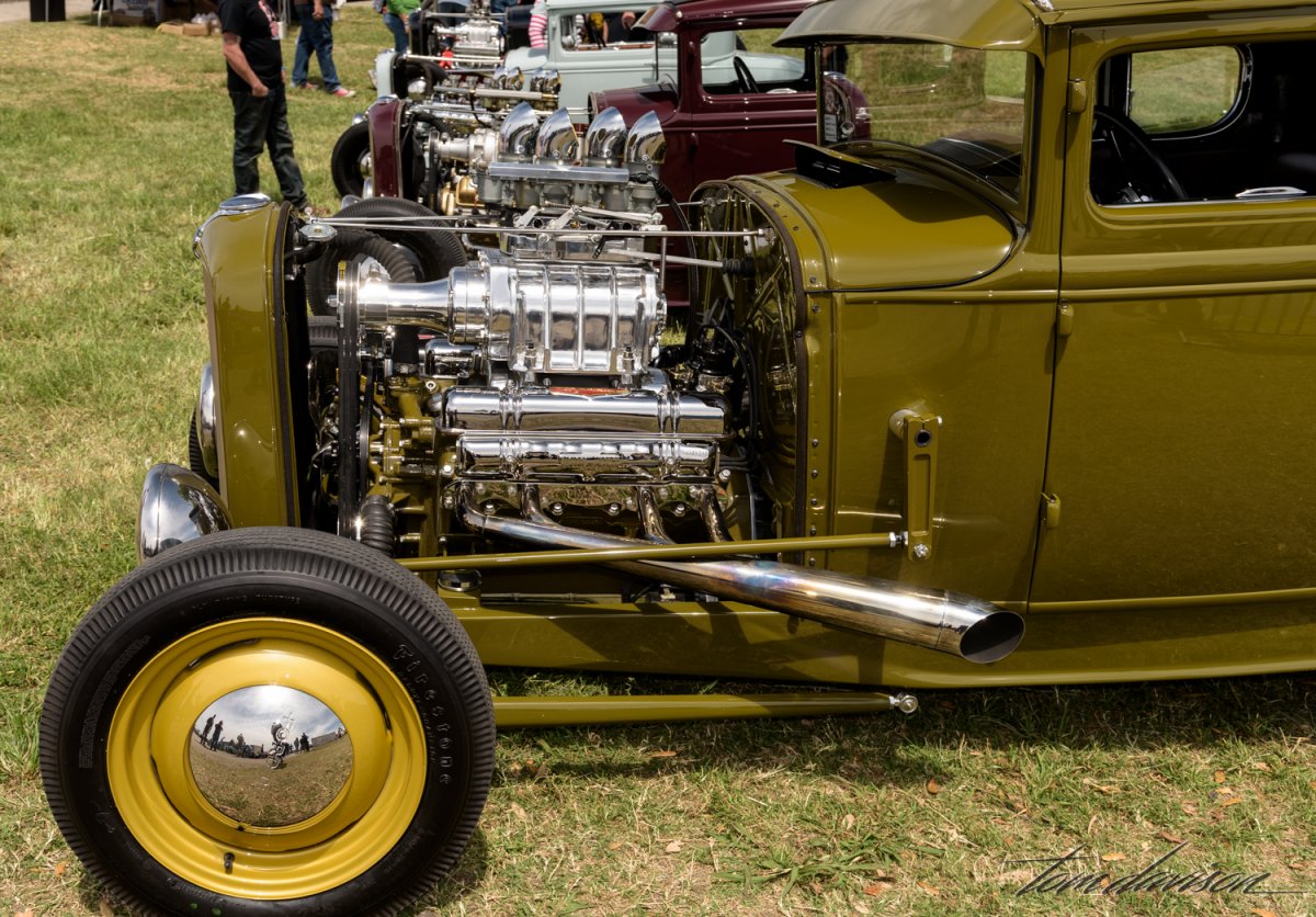 Lonestar (2 of 4).jpg