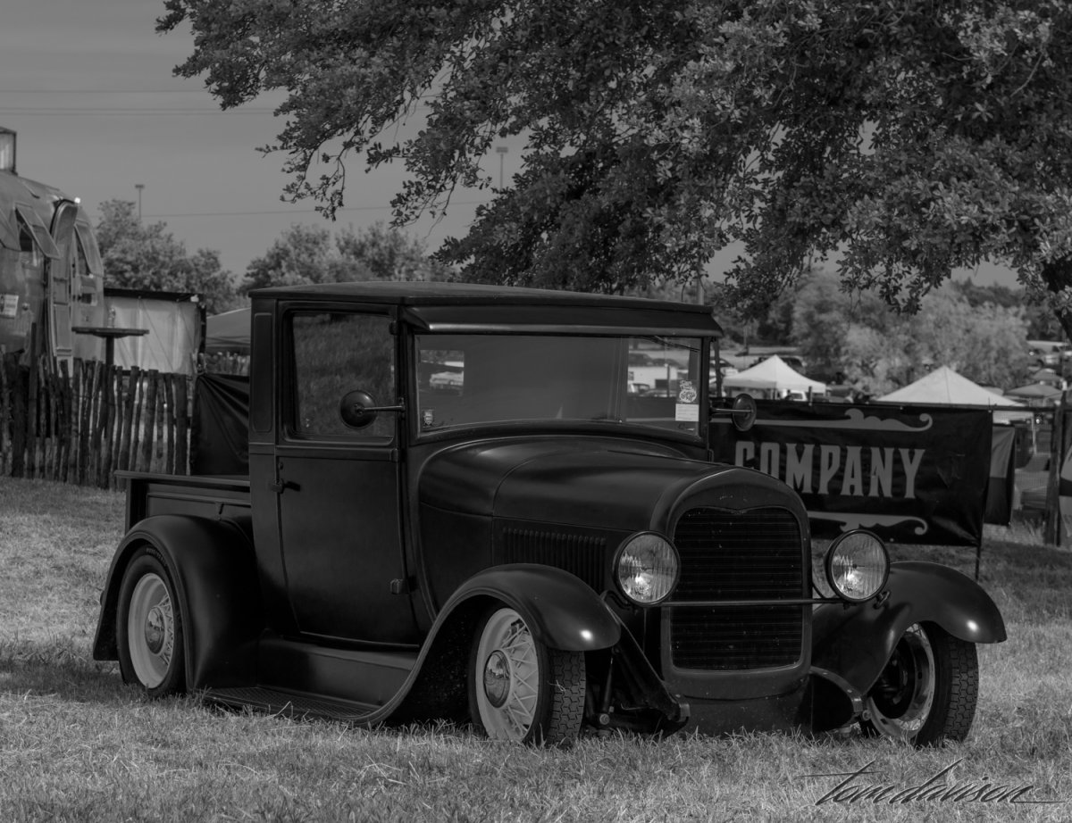 Lonestar (3 of 3).jpg
