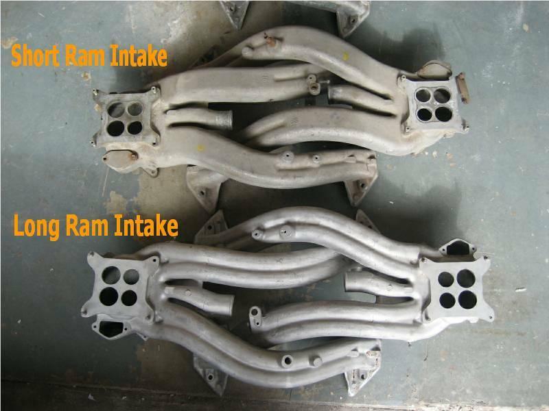 Long_vs_Short_Rams_Comparison.thumb.jpg.b0e8a85e115eb84924d2871b3781c14d.jpg
