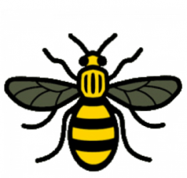 Manchester Bee 3.png