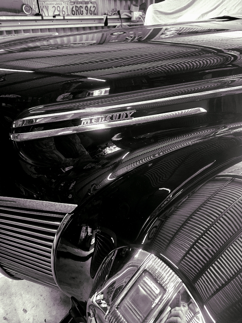 merc badge.jpeg