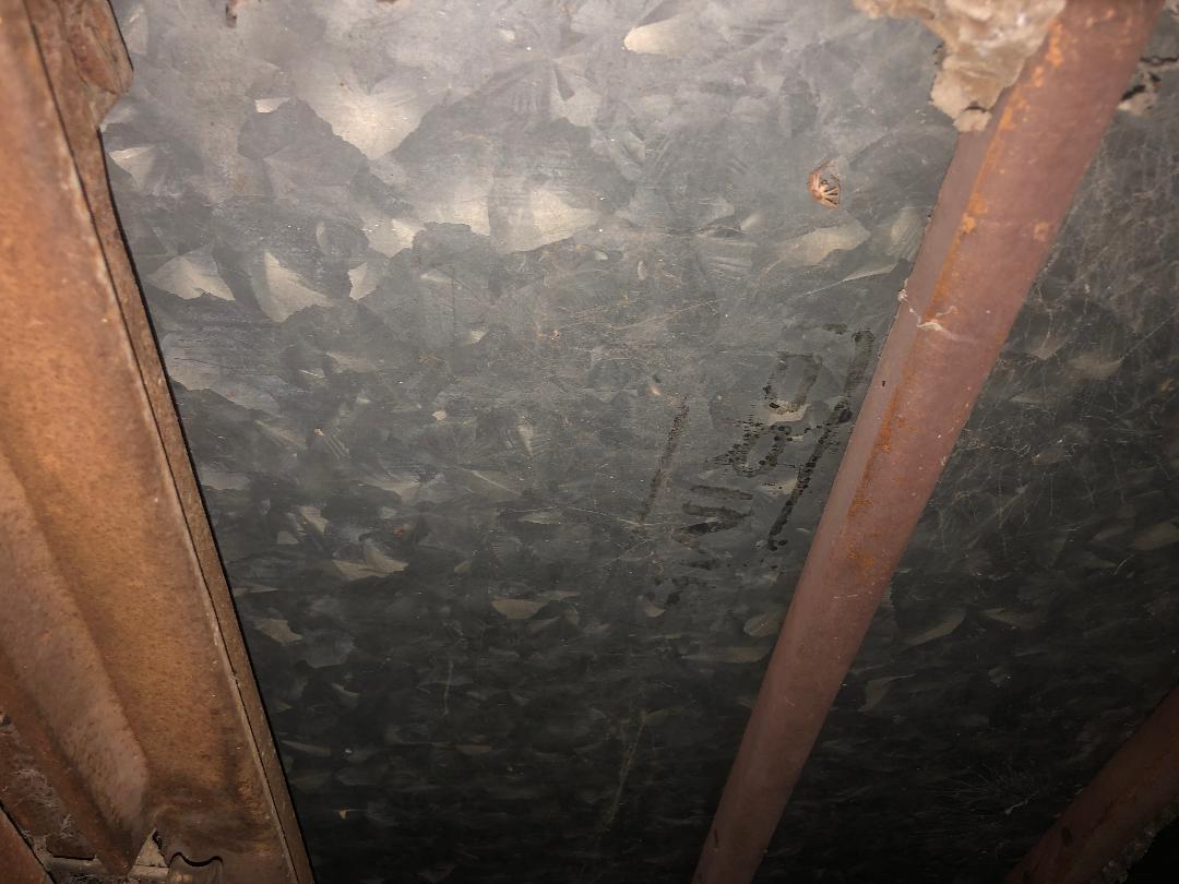 model a roof 4.jpg