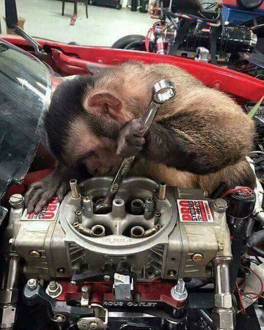 monkeywrench.jpg