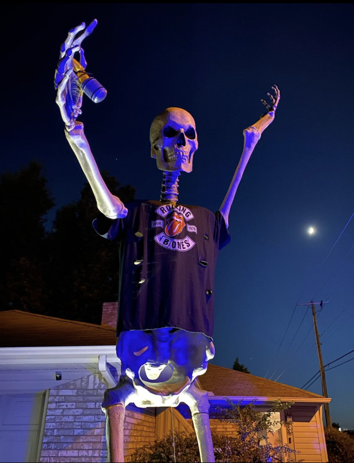 Mr Bones 2.png