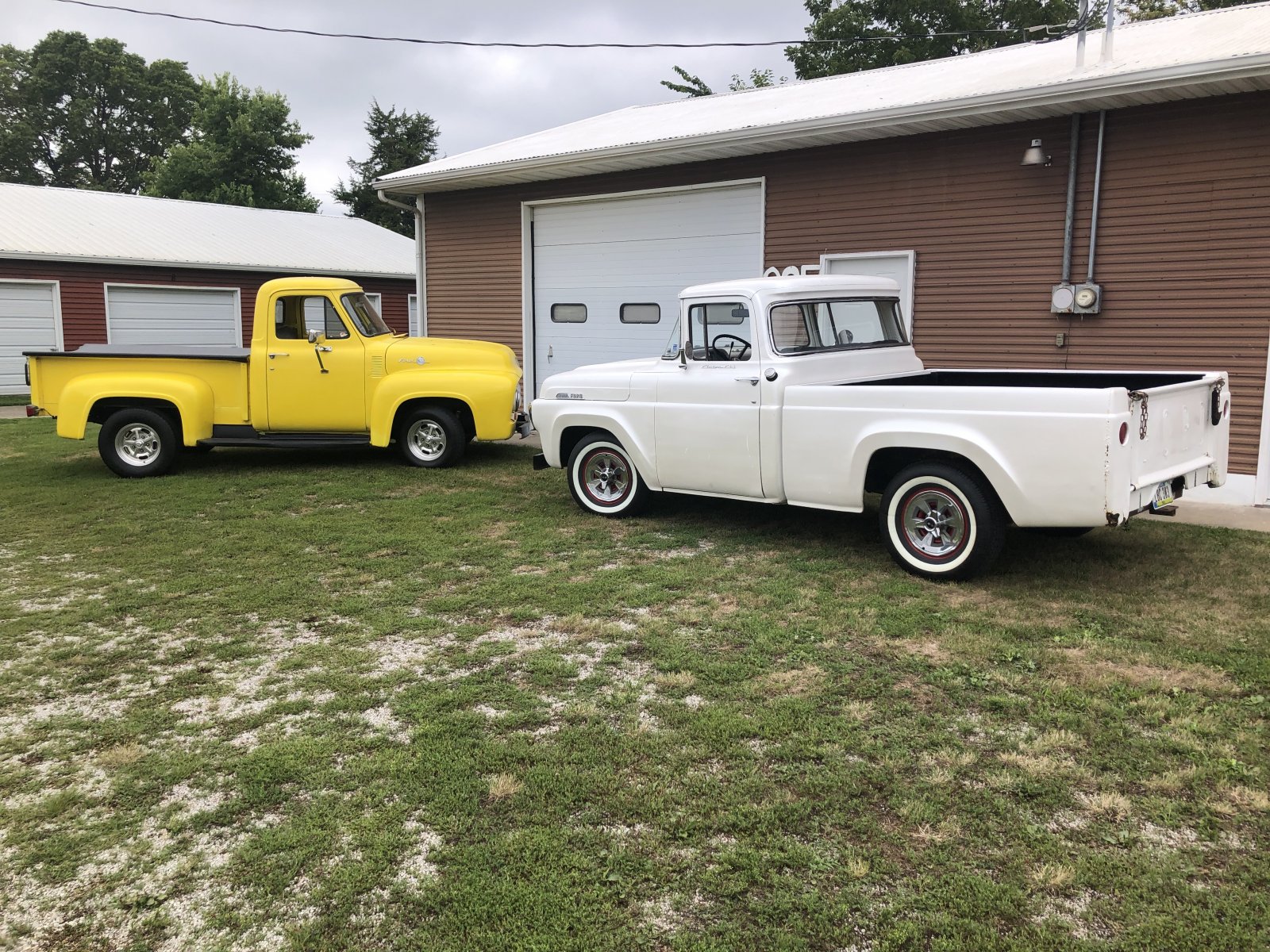 MY 55 and 57 F100's.jpeg