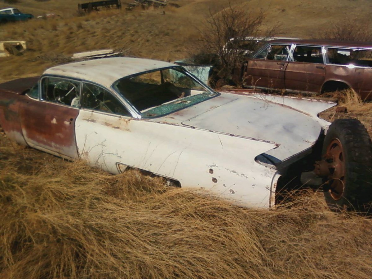 MY CADDY 3.jpg
