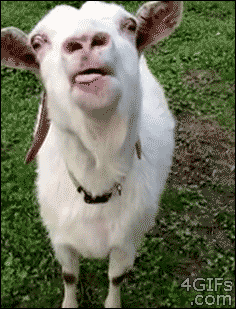 nah.gif