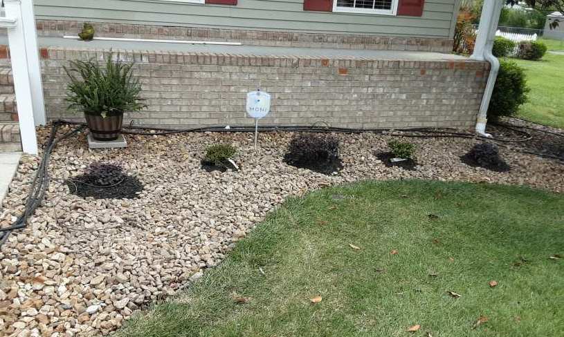 New bushes in front of house.jpg