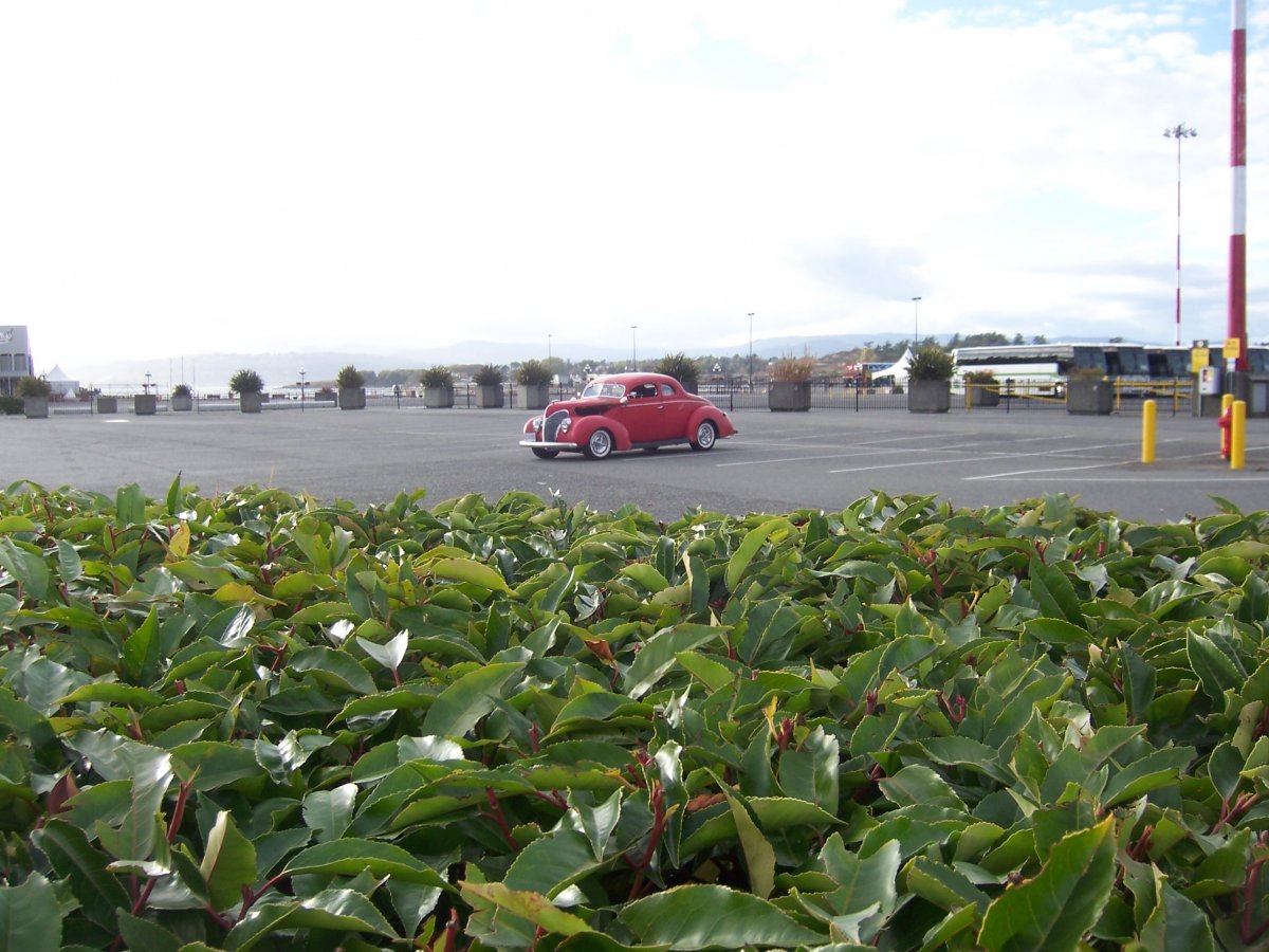 ogden point.JPG