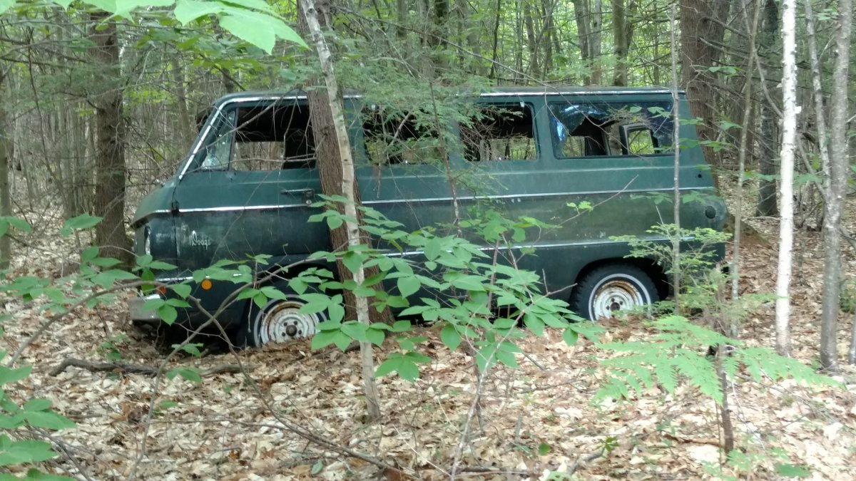 Old Dodge van2.jpg