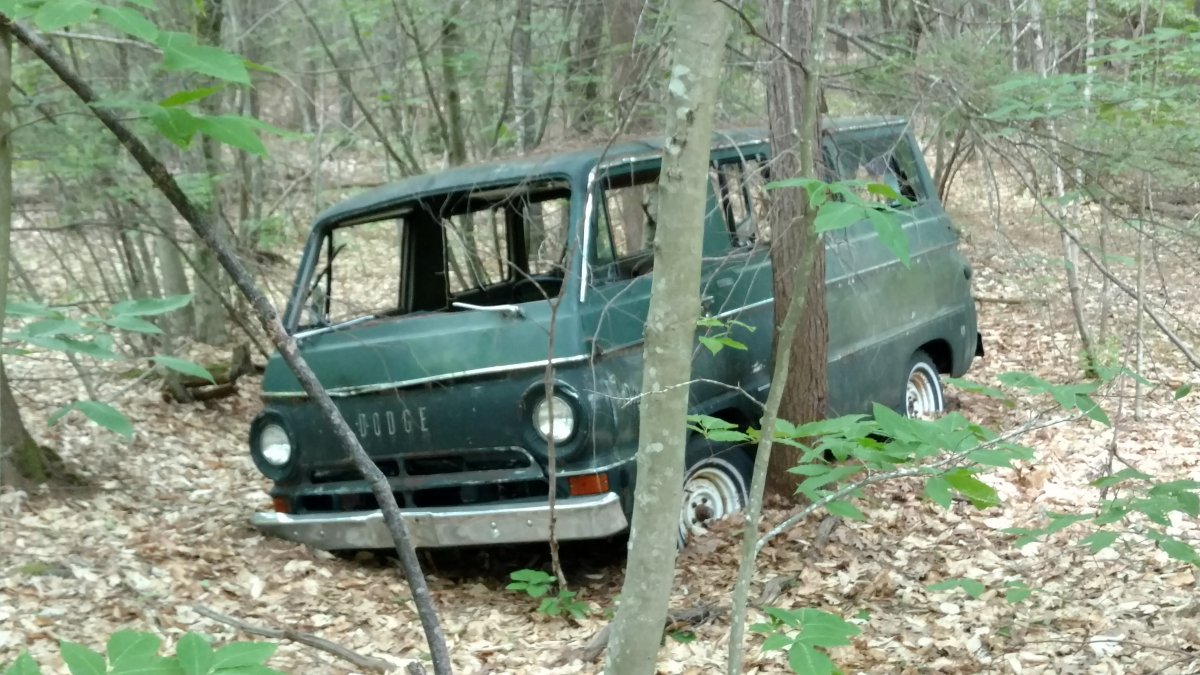 Old Dodge van3.jpg