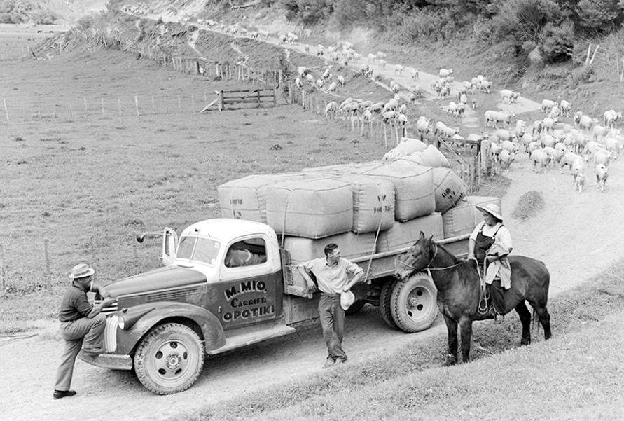 Opotoki 1950 ex Military Chev truck.jpg