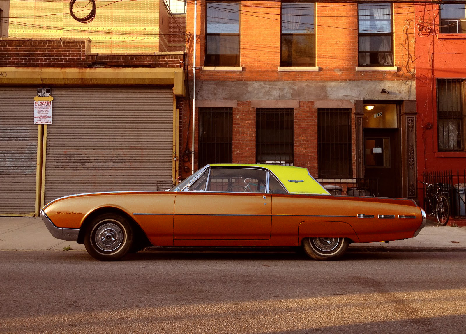 orange T bird .jpg