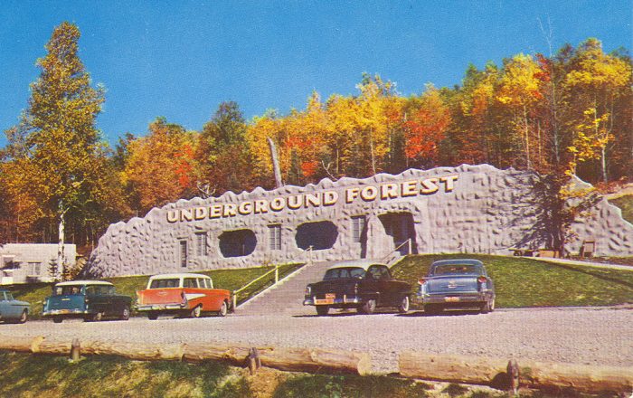 Otsego-Frederic-Roadside-Underground-Forest-1950s-700x440.jpg