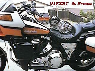 our pic`s 115.jpg