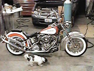 our pic`s 125.jpg
