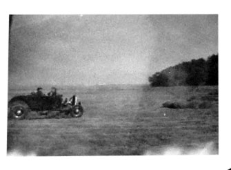 p 15.jpg