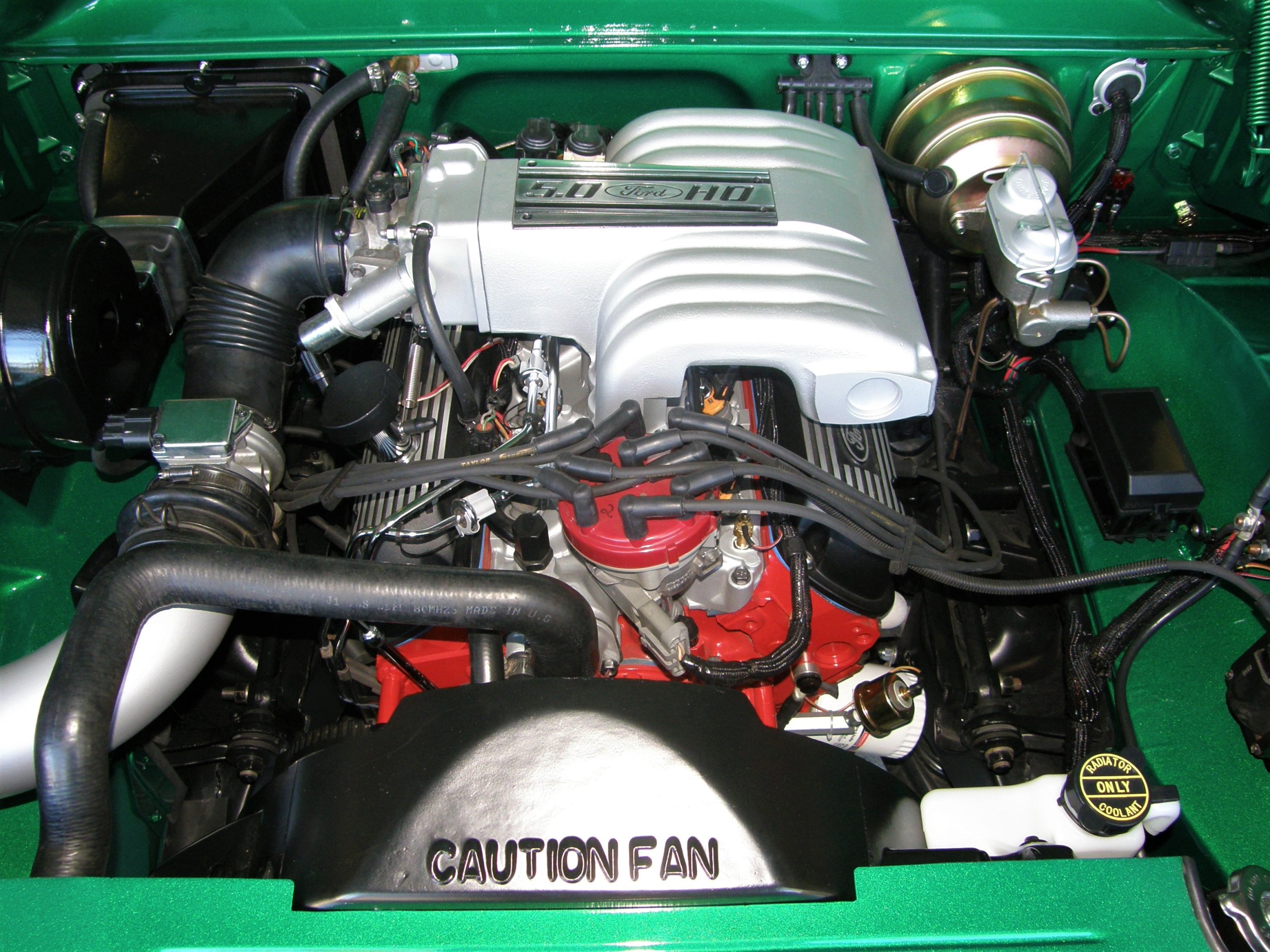 P1010002_8 (2).JPG