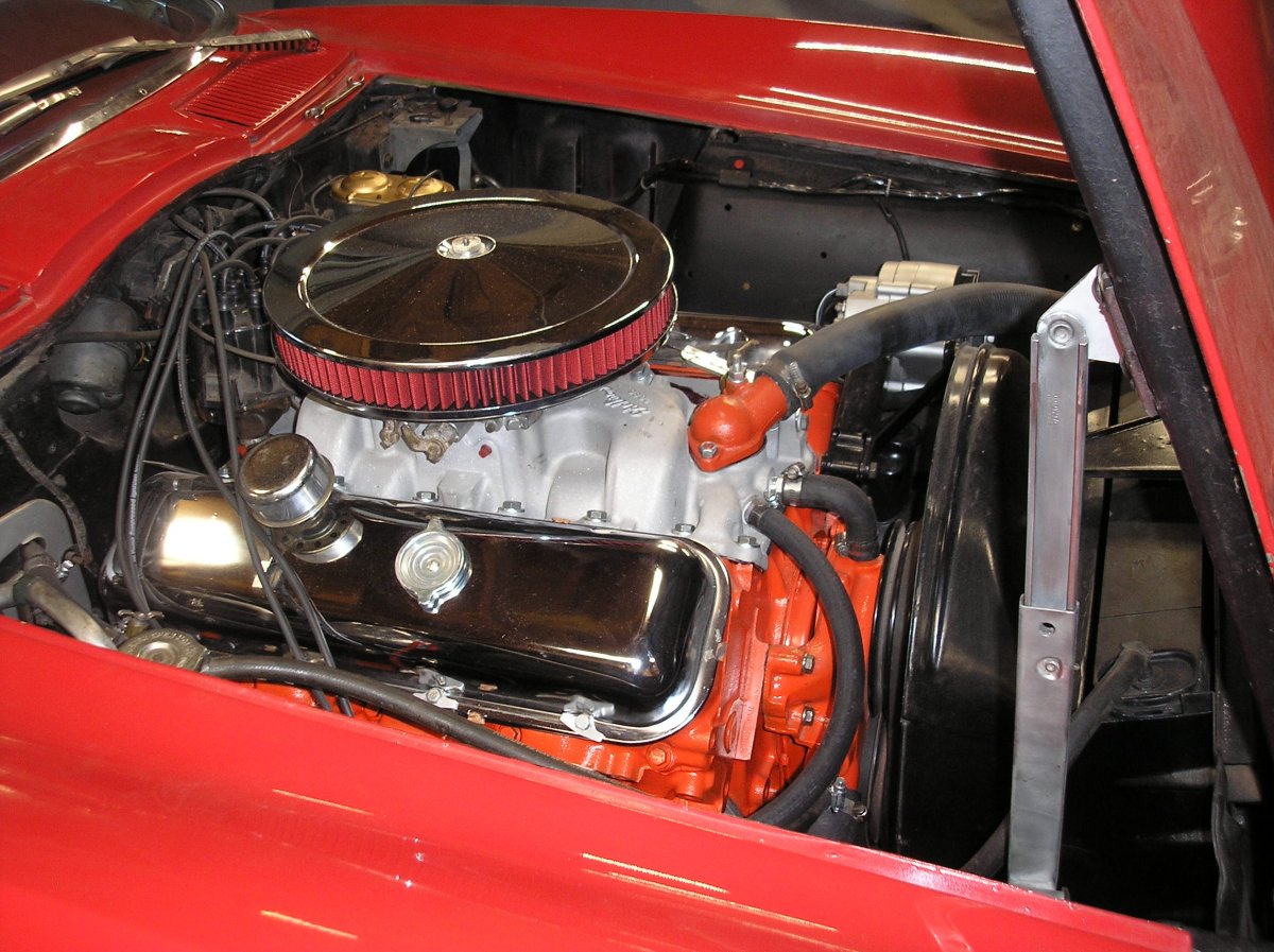 P1010004.JPG