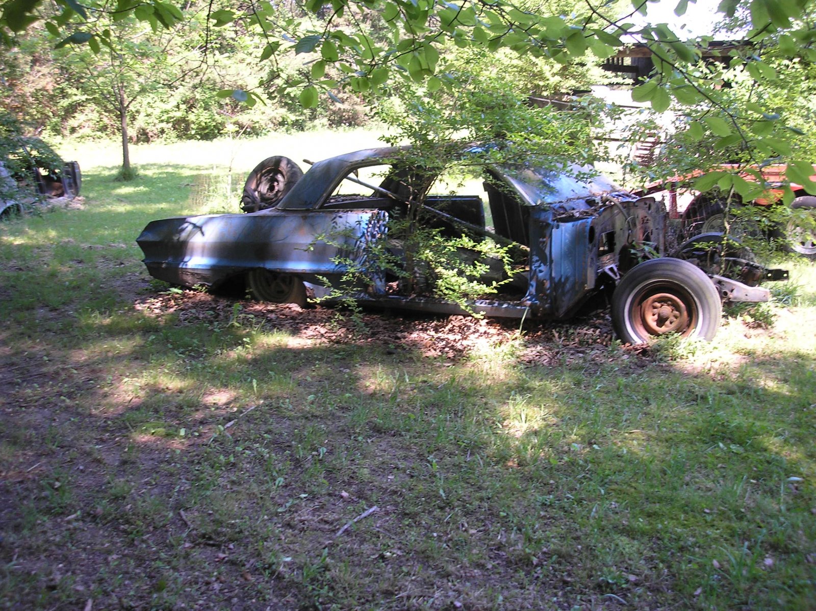 P1010010 (2).JPG