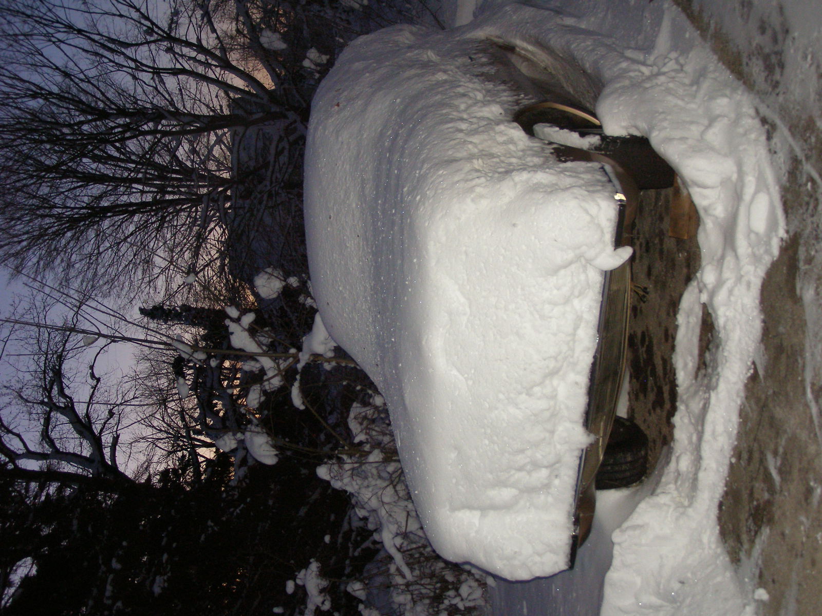 P1014956.JPG