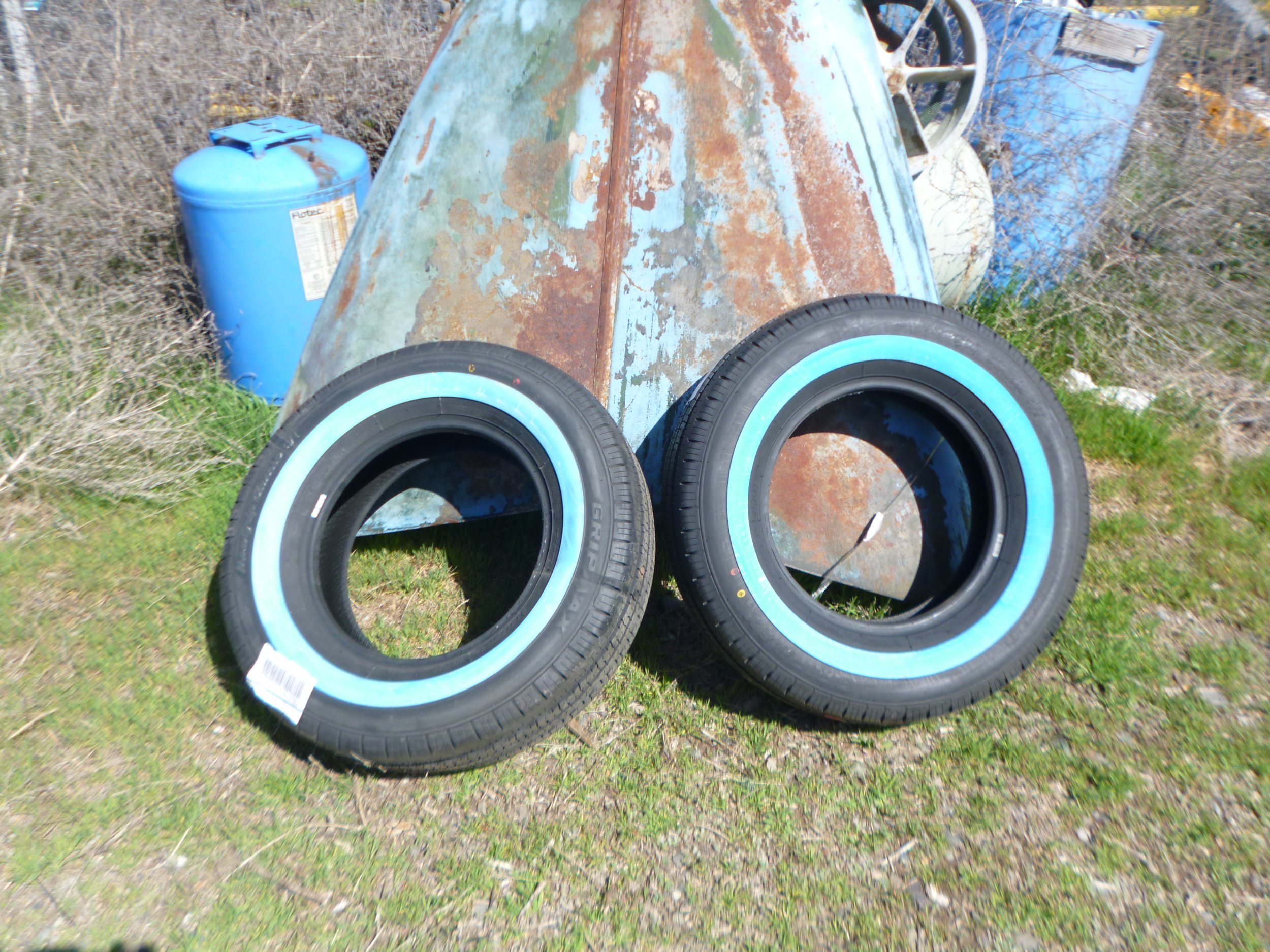 P1020447.JPG
