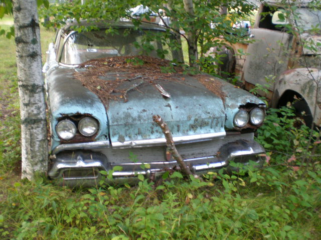 P9060026.JPG